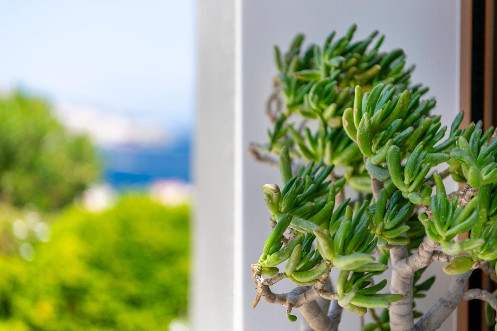 Villa Marenosta Ermupoli Exteriér fotografie